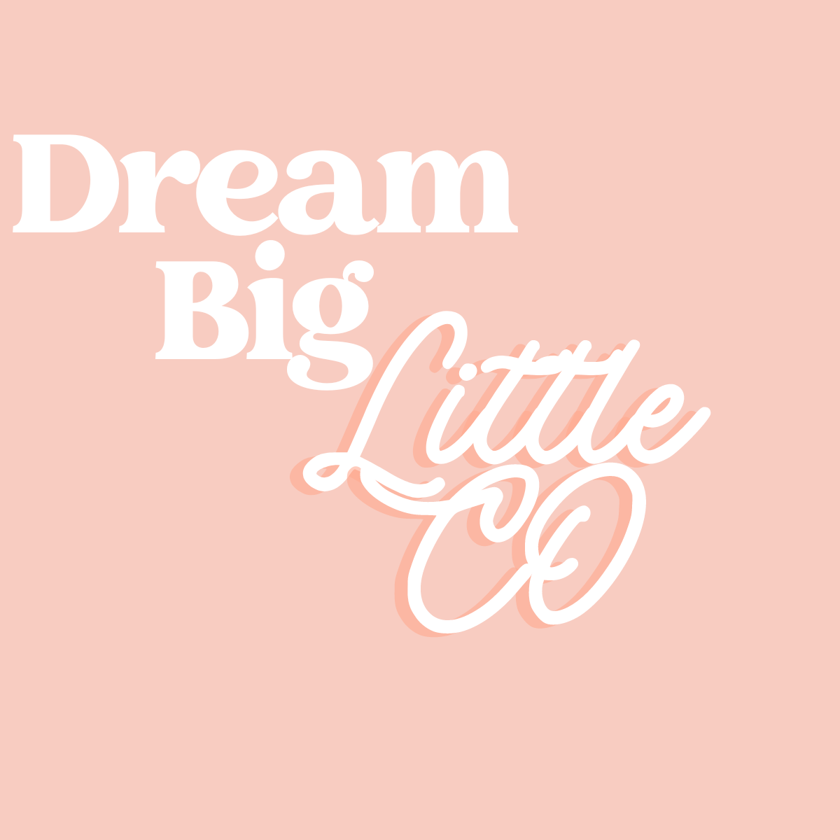 Dream Big Little Co.