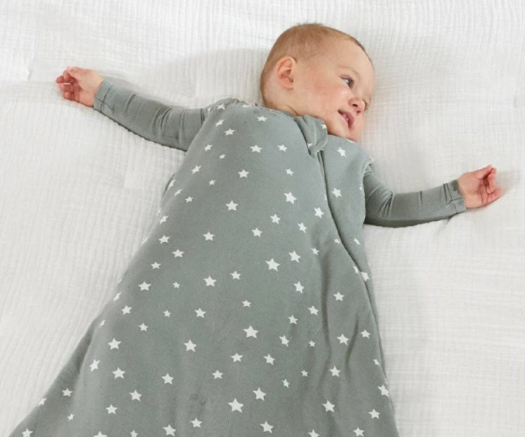 Sleep Bag 2.5 Tog- Color Shine