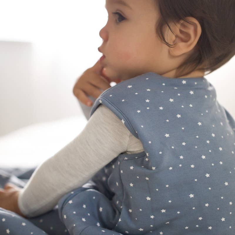 SLEEP BAG 1.0: Dream / 3-9 months / 1.0 - gunamuna