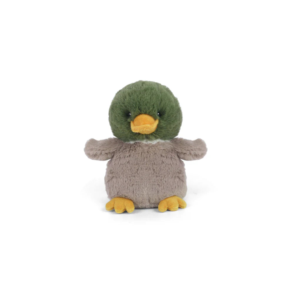 Billie Petit Mallard Duck