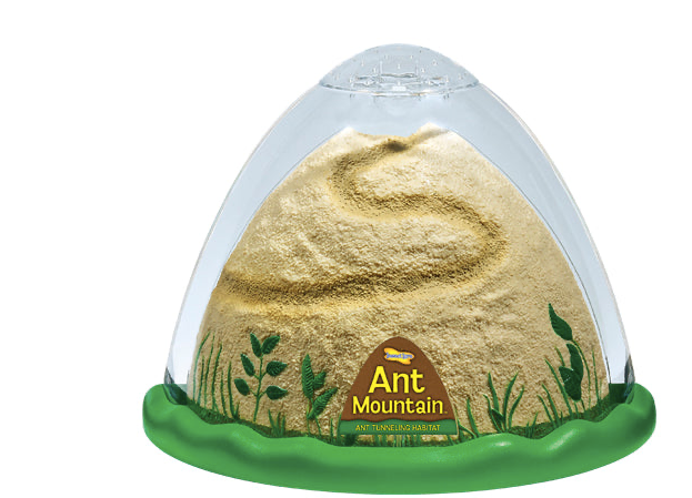 ANT MOUNTAIN WITH VOUCHER FOR LIVE ANTS - Insect Lore
