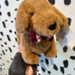 Dapper Dachshund - Mon Ami