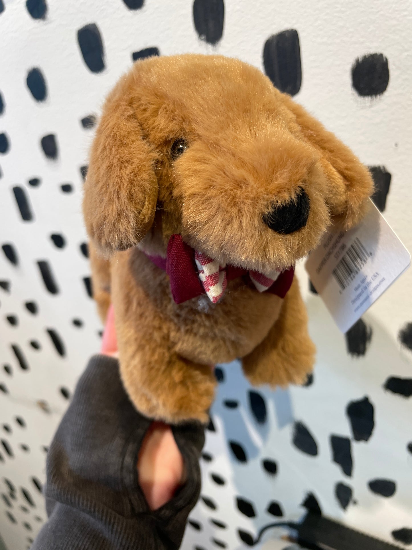 Dapper Dachshund - Mon Ami