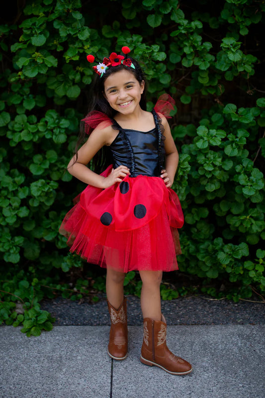 Ladybug Dress and Headband