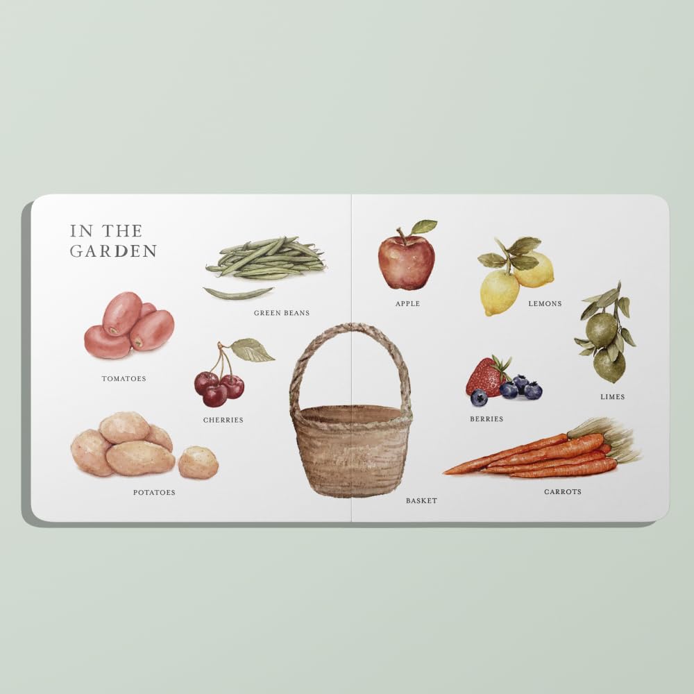 Our Big Book of First Words - Hachette