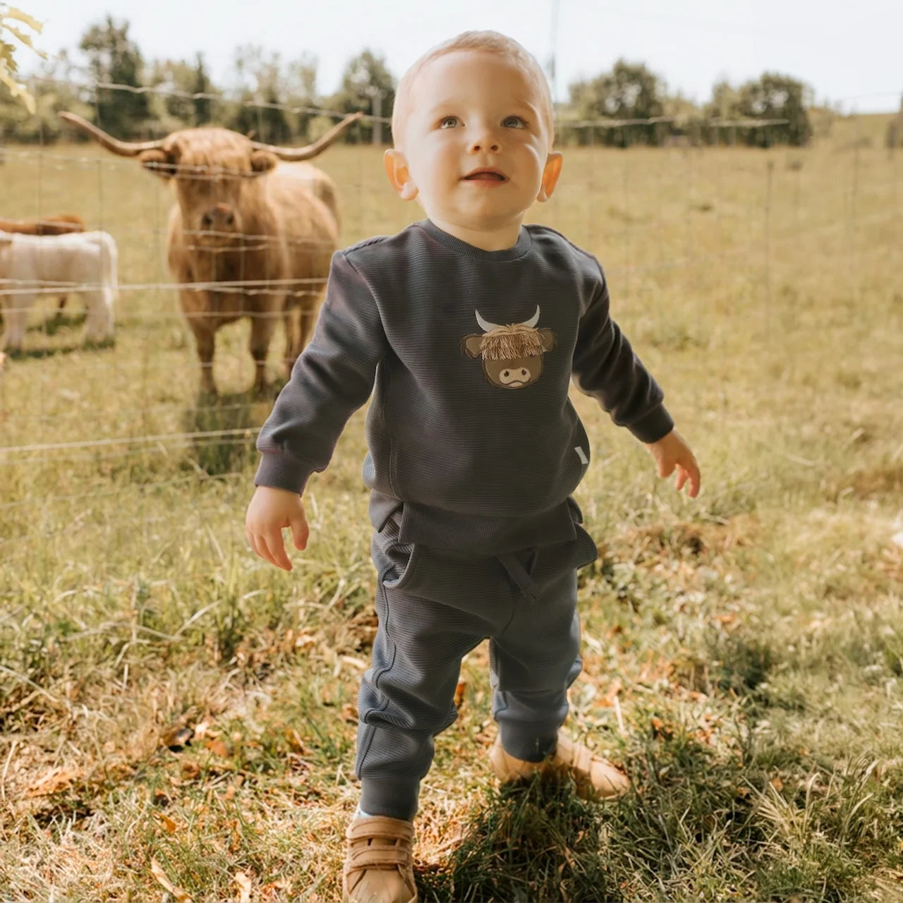 Highland Cow Ottoman Outfit Set