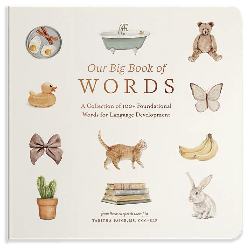 Our Big Book of First Words - Hachette