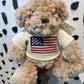 USA Teddy Bear - Mon Ami