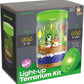 Dan&Darci Light-Up Terrarium Kit - STEM Science Kit - DIY Toy for Boys & Girls - Dan&Darci