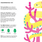 Fingerprint Activities Under The Sea