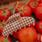 BROWN GINGHAM TOMATO CHARM CLAW - KAXI