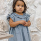 Sophie Dress || Chambray - Baby Sweet Pea's Boutique