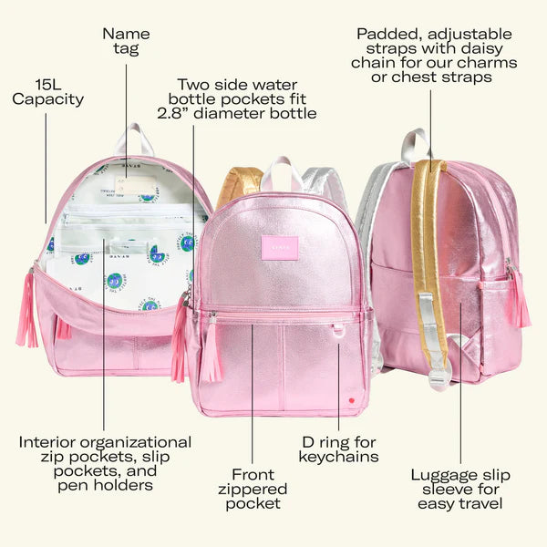 Kane Backpack - Pink/Hot Pink Colorblock | Metallic - State Bags