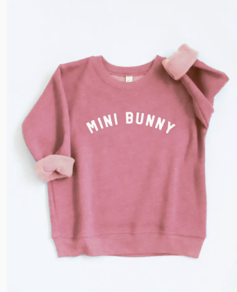 Mini Bunny Toddler Graphic Sweatshirt- Mauve