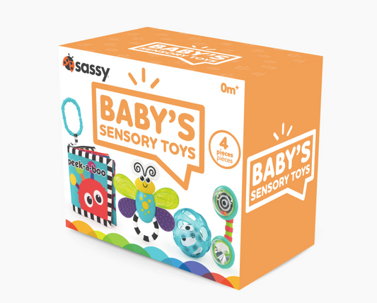 Baby's Sensory Toys Box Set (4 Toys)