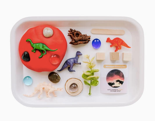 Children's Dinos Sensory Play Dough Kit