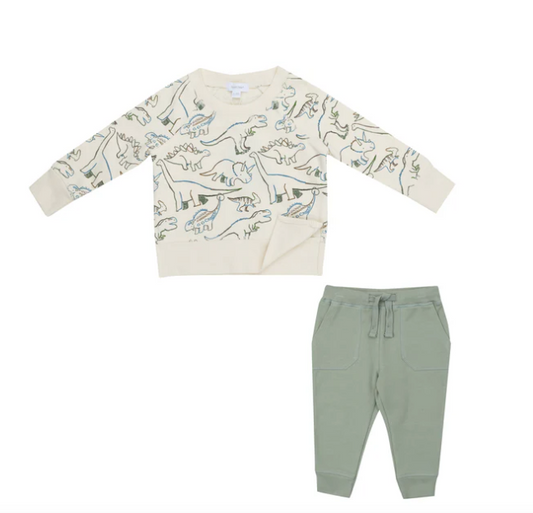 Raglan Sweatshirt and Jogger Set - Artsy Dino