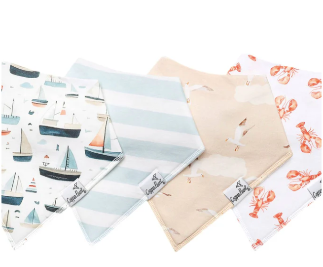 Bandana Bib Set- Fischer