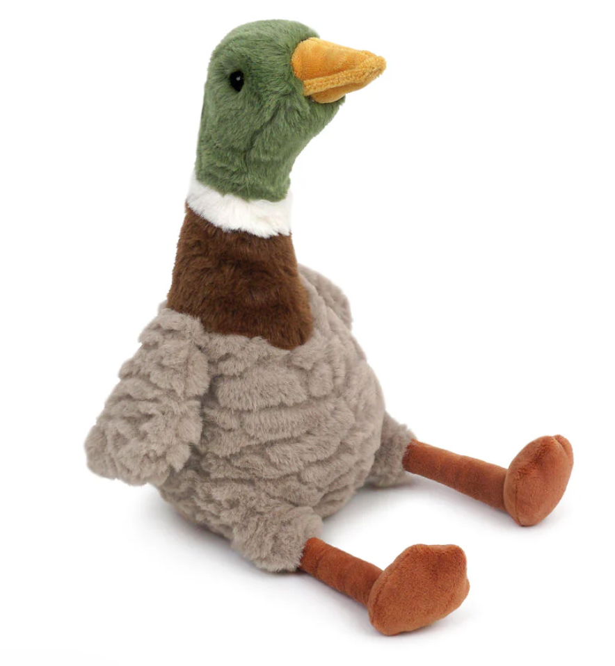 River Mallard Duck - Mon Ami