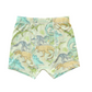 Boys Briefs- Neon Dino