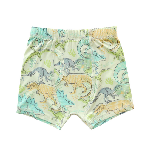 Boys Briefs- Neon Dino
