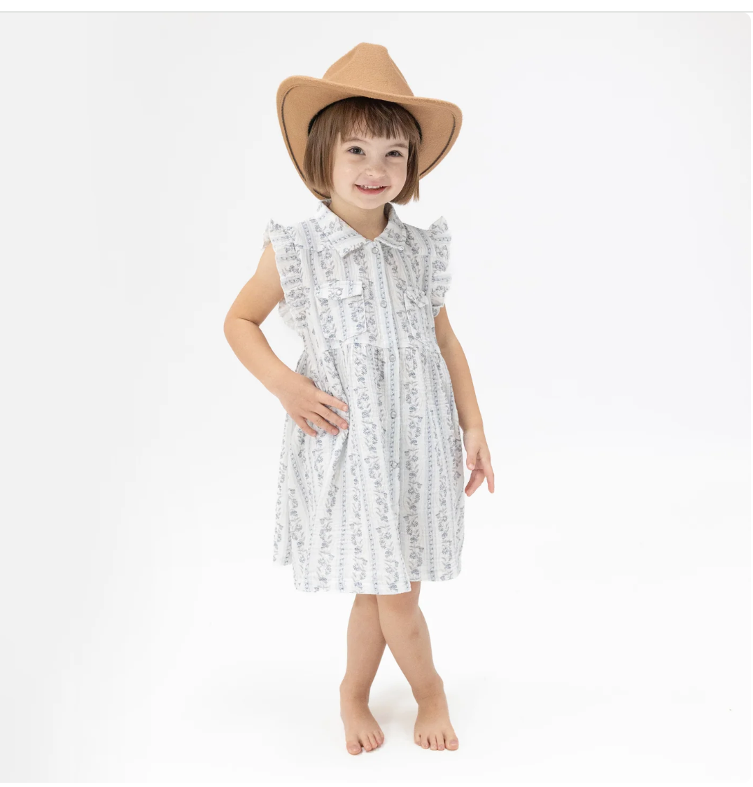 Kimberly Floral Stripe  Western Pearl Snap Dress & Bloomer