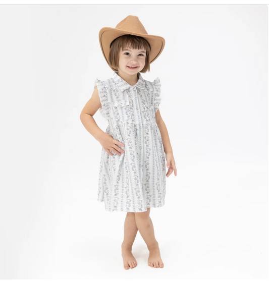 Kimberly Floral Stripe  Western Pearl Snap Dress & Bloomer