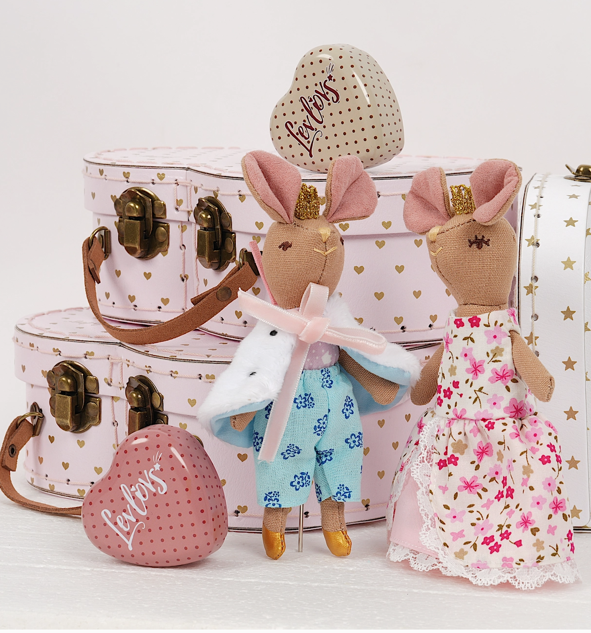 Prince and Princess Mice in A Case