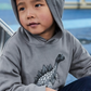 Boy Printed Sweatshirt - Gray Dinosaur - Mayoral