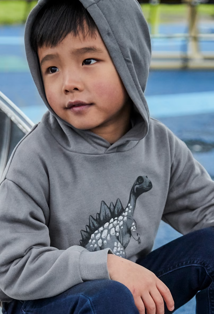 Boy Printed Sweatshirt - Gray Dinosaur - Mayoral