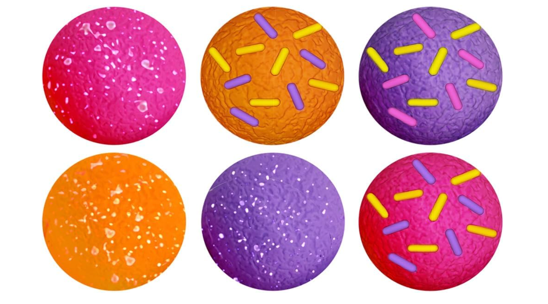 Needoh Dohnut Holes 6 Pack - schylling