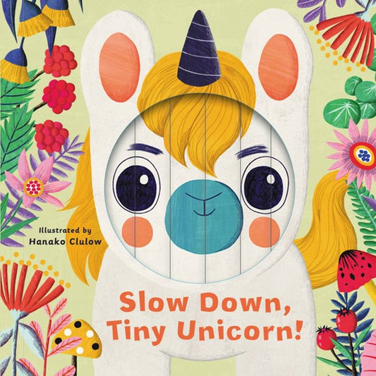 Slow down tiny Unicorn Book