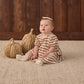 Darla Dress Spice Stripe