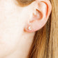 Screwback Stud Earrings - Nova Gold