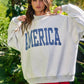 USA Reversible USA/America Graphic Sweatshirt