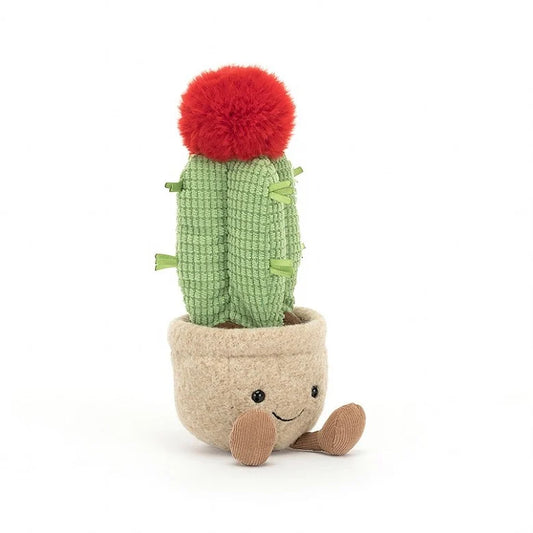 Amusable Moon Cactus