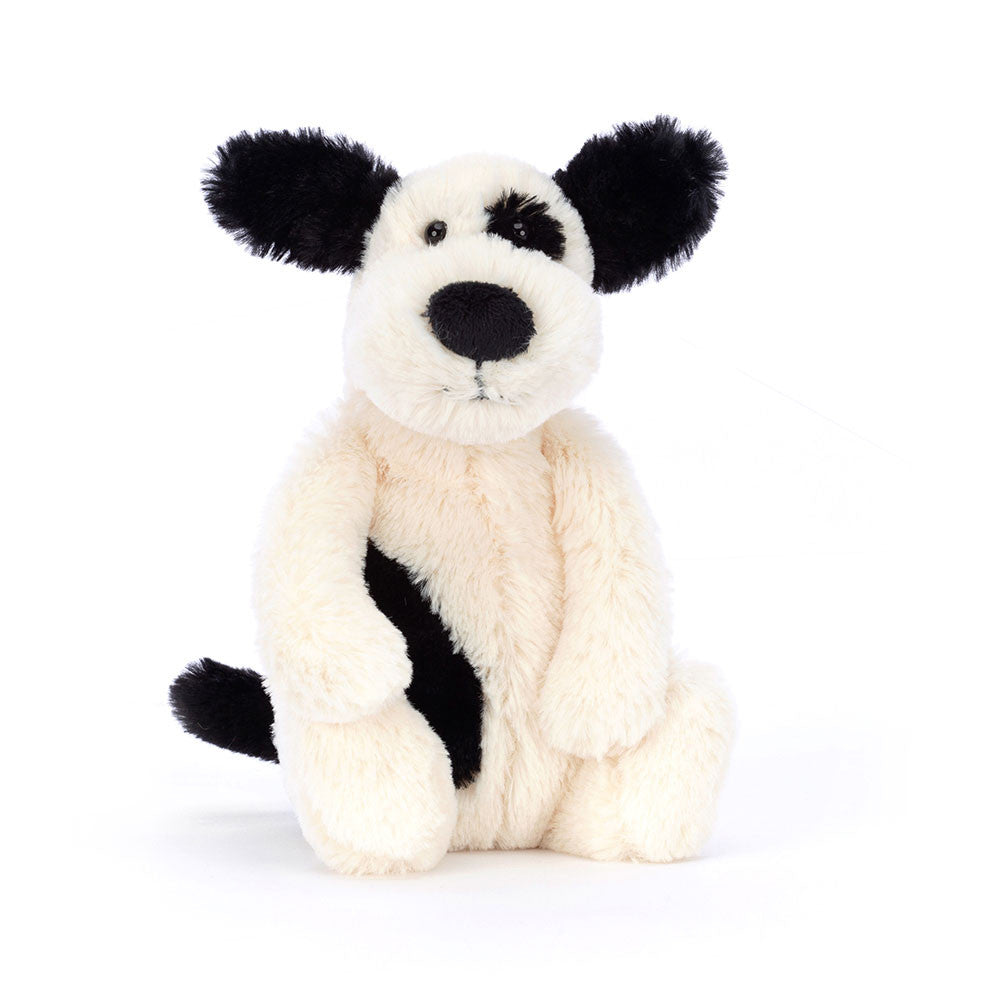 Bashful Black and Cream Puppy
