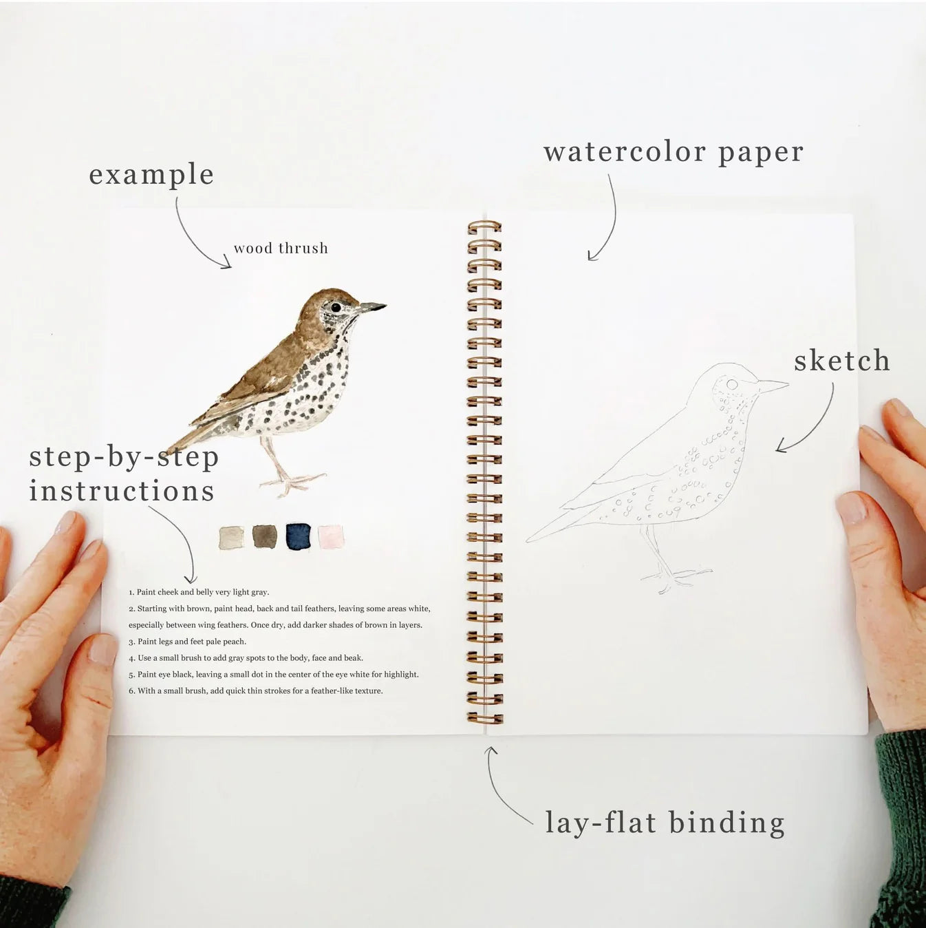 birds watercolor workbook - emily lex studio