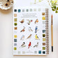 birds watercolor workbook - emily lex studio