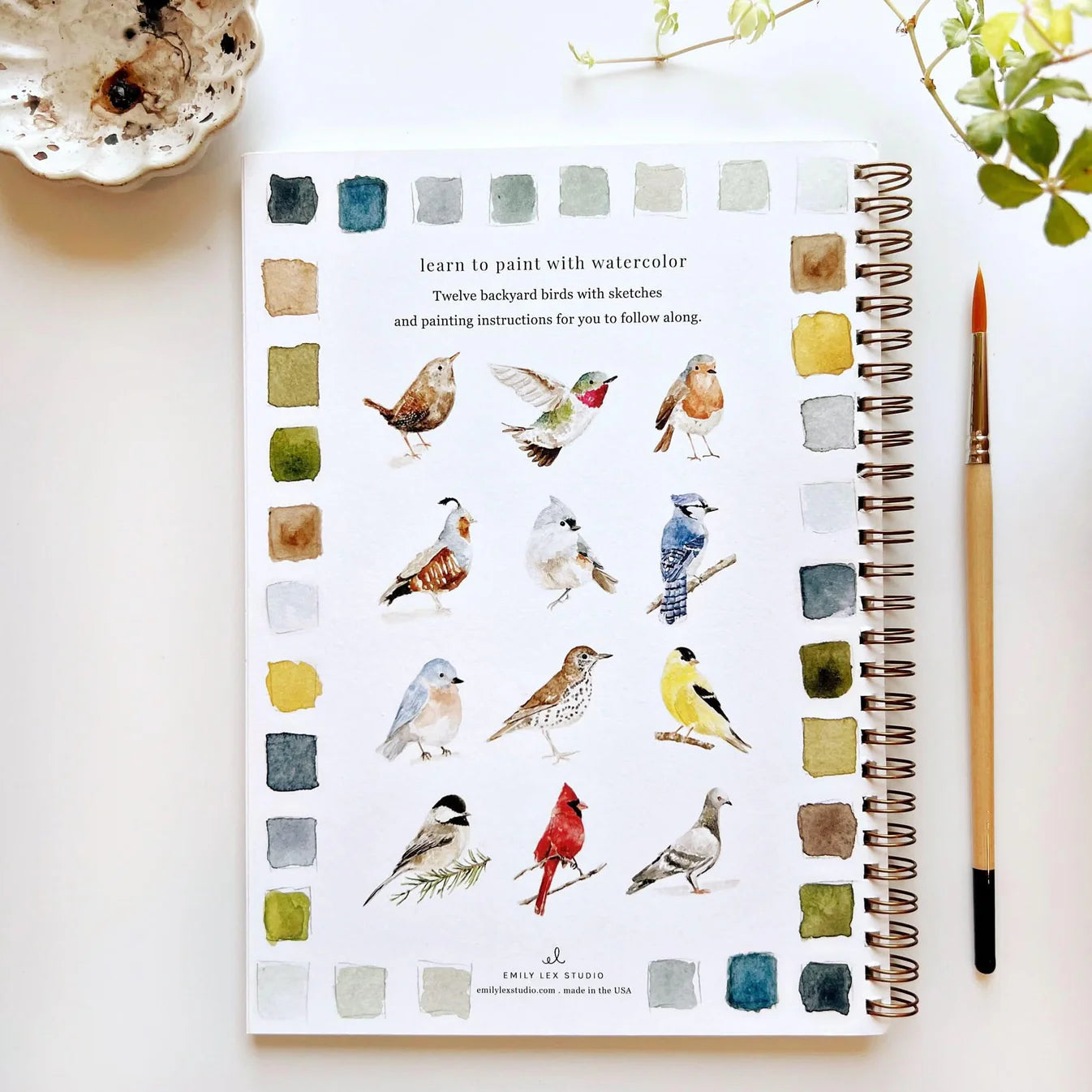 birds watercolor workbook - emily lex studio