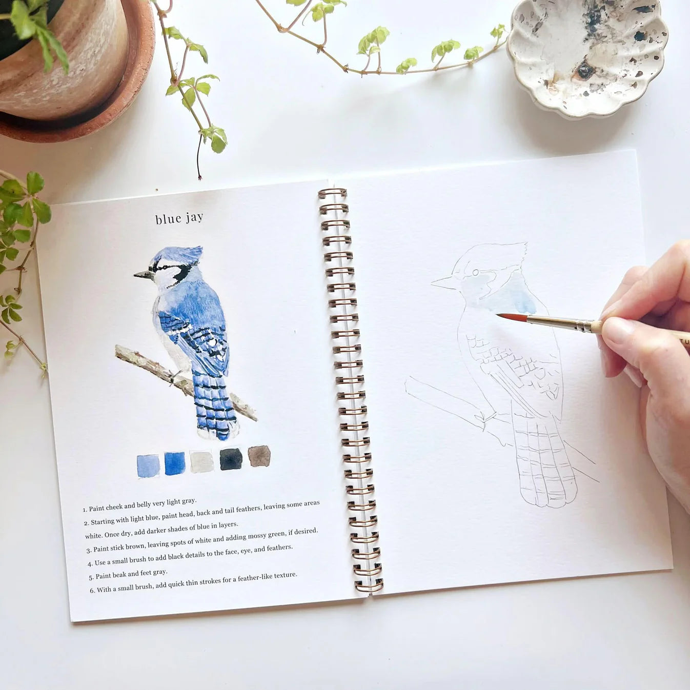 birds watercolor workbook - emily lex studio