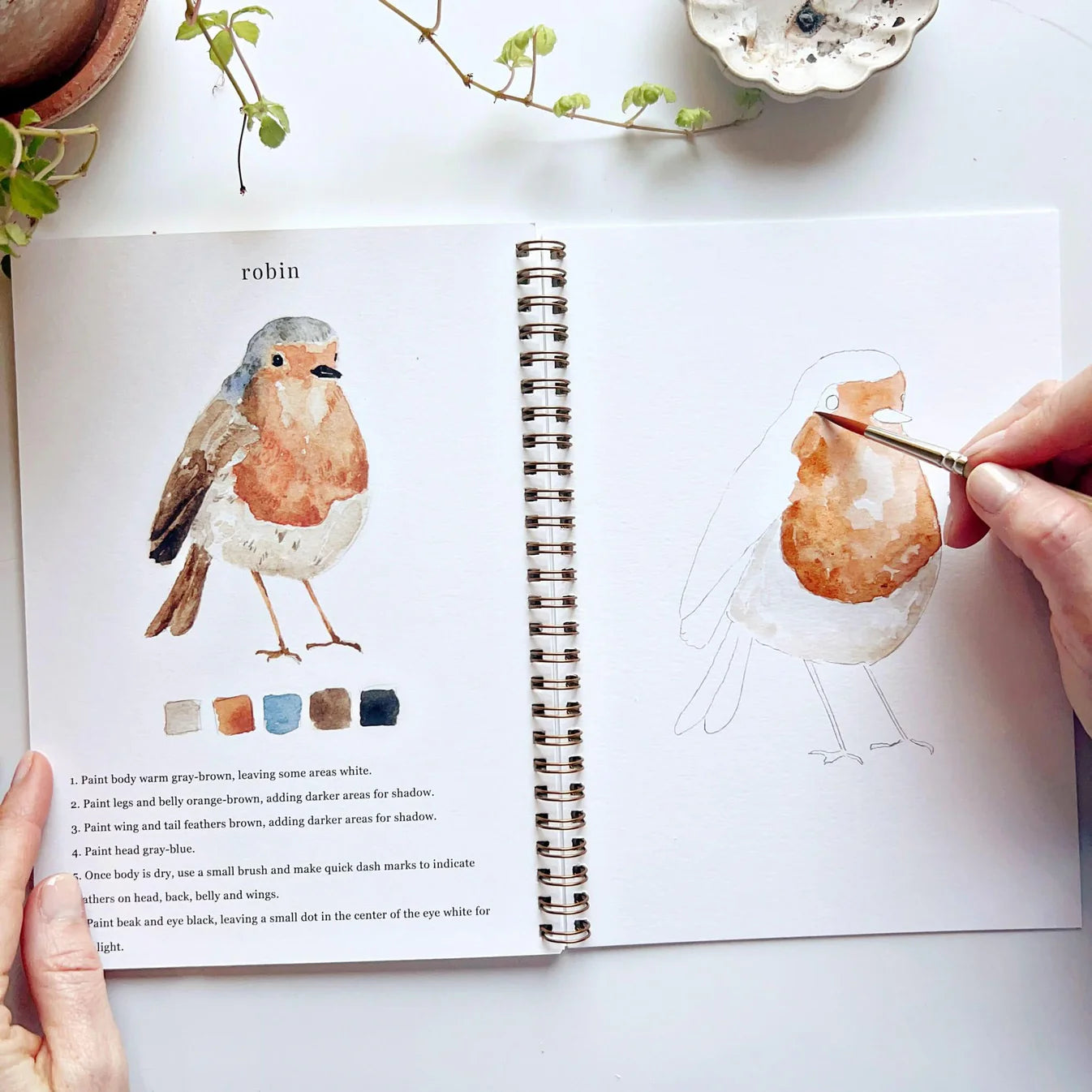 birds watercolor workbook - emily lex studio