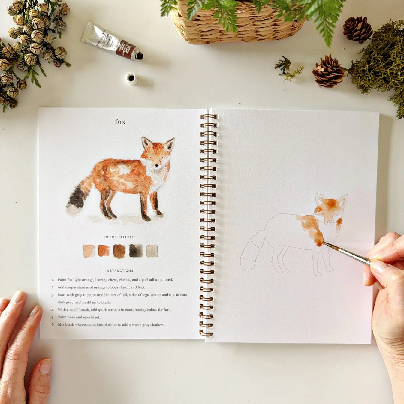 woodland watercolor workbook - emily lex studio