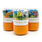 Zoo Grab & Go Dough Jar - Young+Wild&Friedman