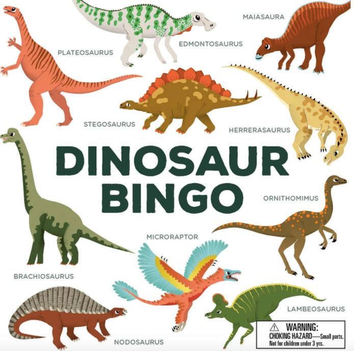 Dinosaur Bingo - Hachette
