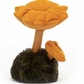 Wild Nature Chanterelle Mushroom - JellyCat