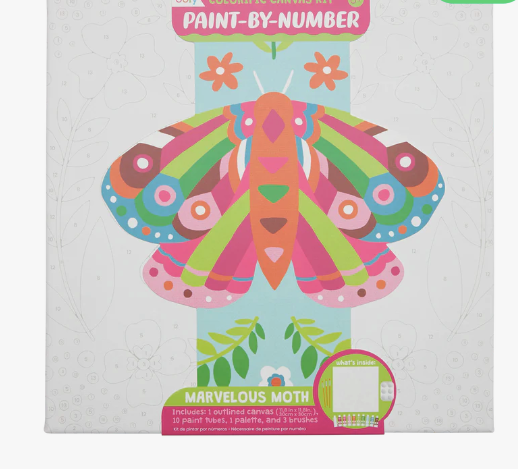 Paint my Number Canvas- Marvelous Moth